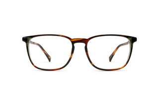 9040103800 Tortoise image-1