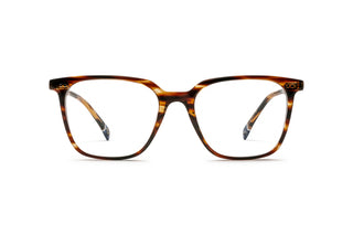 9040104780 Tortoise image-1