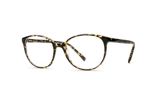 9040105170 Tortoise image-3