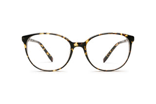 9040105170 Tortoise image-1