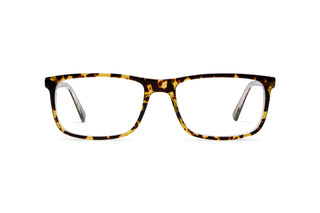 9080300030 Tortoise image-1