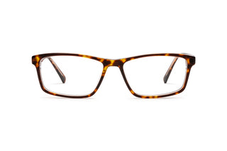 9080300510 Tortoise image-1