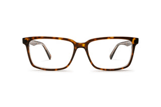 9080301450 Tortoise image-1
