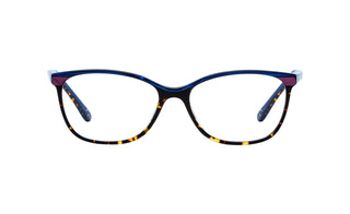 9090100120 Tortoise image-1