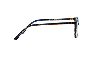 9090100120 Tortoise image-2