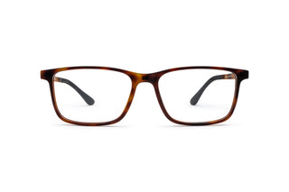 9340100540 Matt tortoise image-1