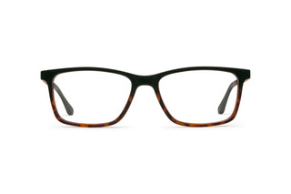 9340101200 Matt tortoise image-1