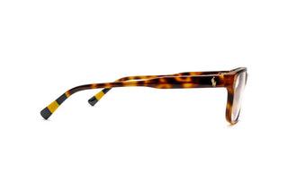 9850101850 Tortoise image-2