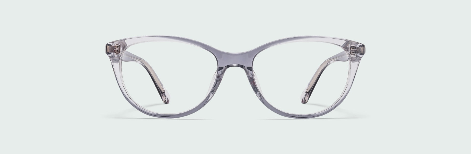 Pair of transparent eyewear