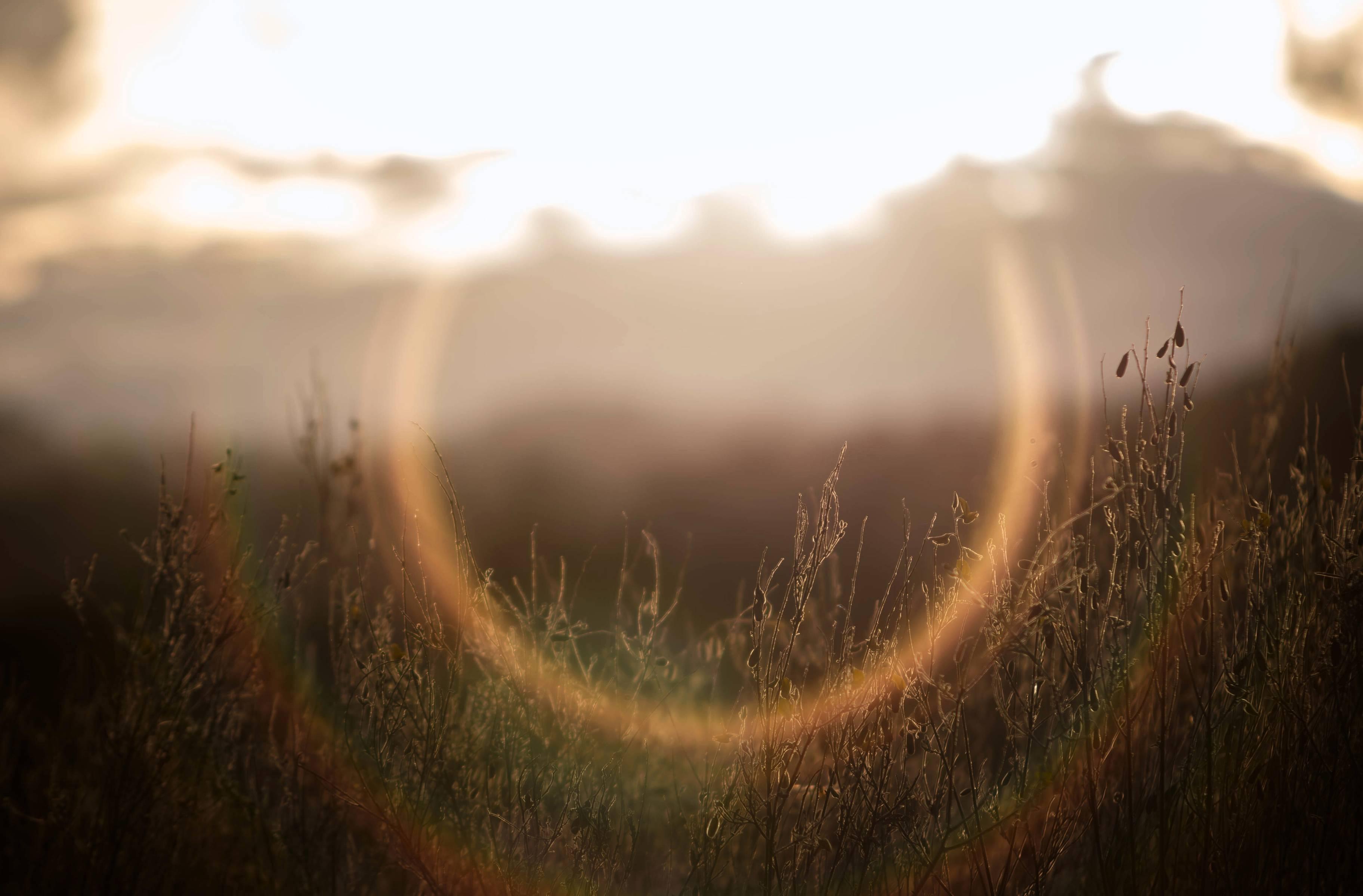 Estce normal de voir des halos autour des lumières ? Quand devonsnou — free download