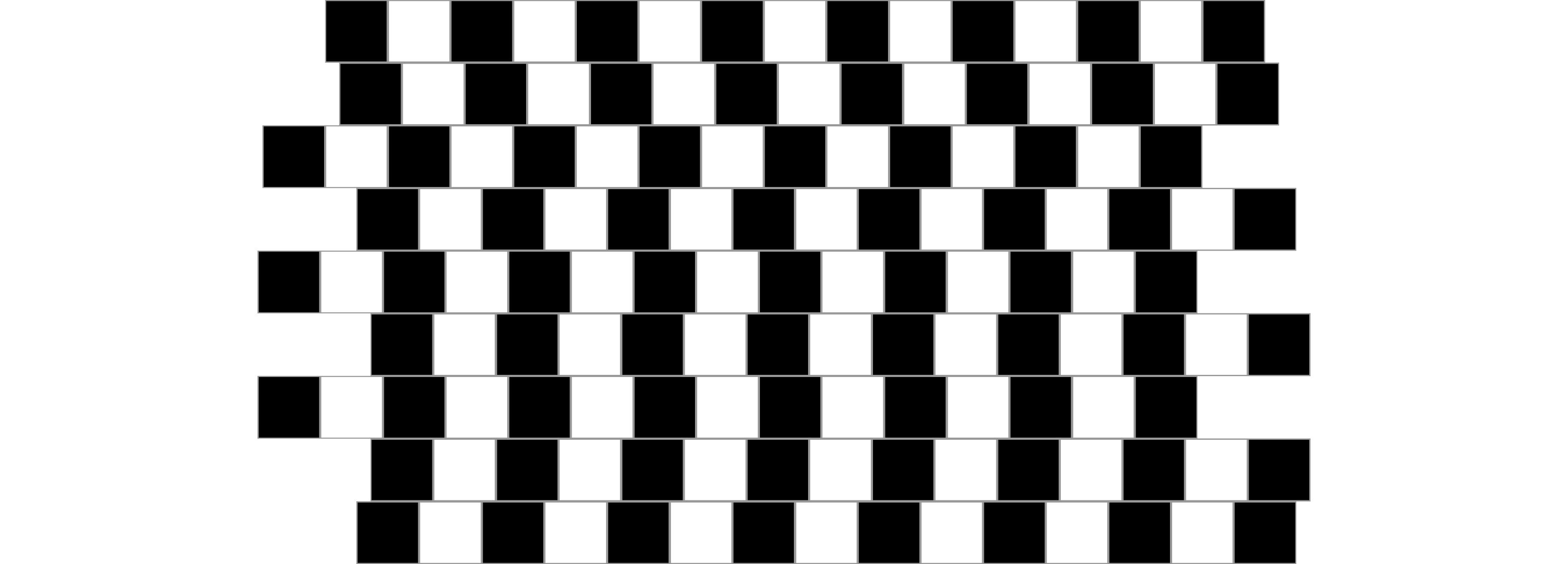 There is an optical illusion where black and white squares look like they are moving