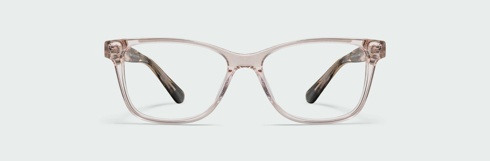 Glasses with transparent frame